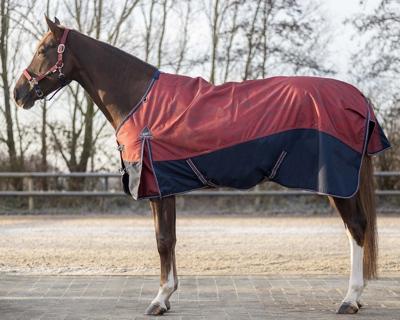 QHP Falabelladeken Turnout 150grs collection