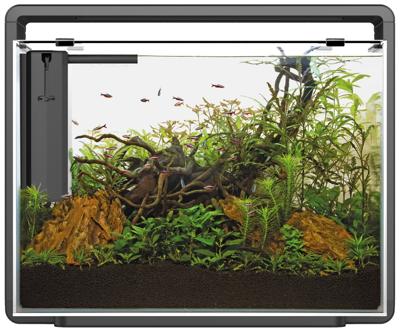 Superfish Home 85 aquarium zwart