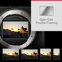 Panasonic Lumix S9 Jet Black + Lumix S 18-40mm F/4.5-6.3 - thumbnail