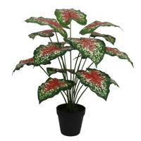 Caladium rood- 50 cm kunstplant Buitengewoon de Boet - Buitengewoon de boet - thumbnail