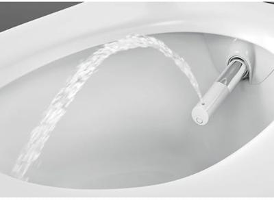 Geberit Wandcloset Aquaclean Sela Smart Douche WC met Softclose Zitting Mat Wit