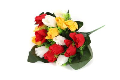 Tulpen Oeteldonk