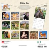 Shiba Inu Kalender 2026 - thumbnail