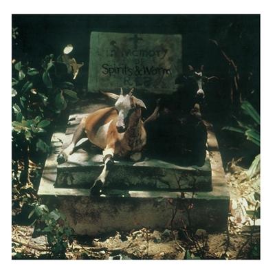 Spirits & Worm - LP (0889397107482)