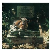 Spirits & Worm - LP (0889397107482) - thumbnail