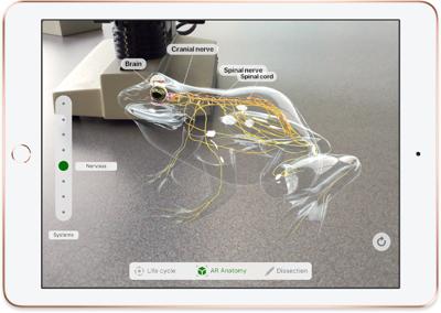 Refurbished iPad 2018 32 GB Goud Gebruikt