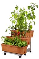 Bama orto di kit plantenbakken 80x74x73 cm terracotta - thumbnail