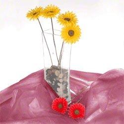Walimex Lichte stof achtergrond (3x6 m) bordeaux