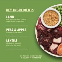 Lily's Kitchen Adult Shepherd's Pie lam met aardappel hondenvoer 12 kg - thumbnail