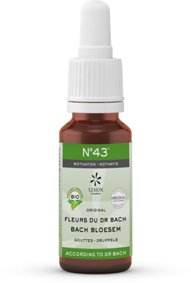 Bach Bloesem Bach bloesems mengeling 43 motivatie bio 20 Milliliter