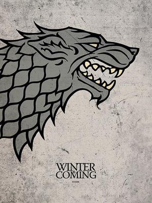 Kunstdruk Game of Thrones - Stark 60x80cm