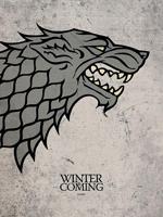 Kunstdruk Game of Thrones - Stark 60x80cm - thumbnail