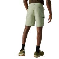 Regatta Leesville III Shorts - thumbnail