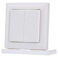 Eltako FT55-WS Toets Draadloos 2-kanaals Opbouw (op muur) Bereik max. (in het vrije veld) 100 m