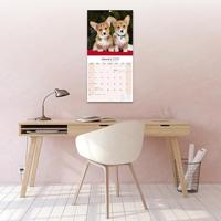 Welsh Corgi Kalender 2026 - thumbnail