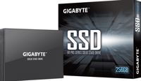GIGABYTE   GP-GSTFS30256GTTD - Solid state drive - 256 GB - intern - - thumbnail