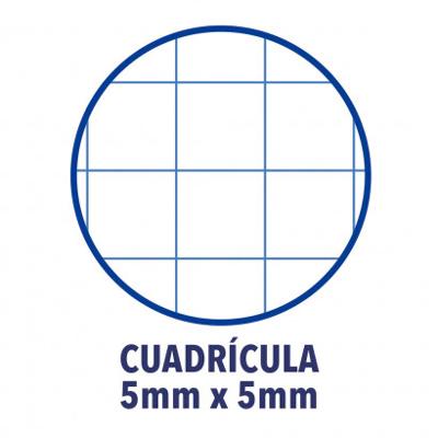 Notitieboek Oxford Classic Europeanbook A4+ 4-gaats ruit 5x5mm 80vel zwart Notitieboek Oxford Classic Europeanbook A4+ 4-gaats ruit 5x5mm 80vel zwart