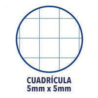 Notitieboek Oxford Classic Europeanbook A4+ 4-gaats ruit 5x5mm 80vel zwart - thumbnail