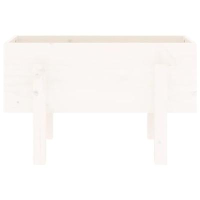 Plantenbak 62x30x38 cm massief grenenhout wit