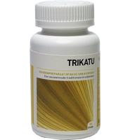 Ayurveda Health Trikatu 90 Tabletten - thumbnail