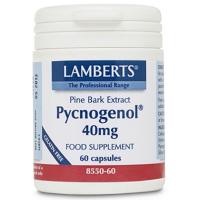 Lamberts Pycnogenol 40 mg Capsules - thumbnail