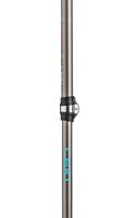 Leki Cressida FX Carbon Wandelstokken Brown-Metallic/Mint - thumbnail