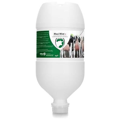 Maxi Mint Plus Hangtube