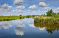 Alexsar Art Tuindoek wateren 140x90cm - thumbnail