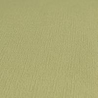 AS Creation PintWalls II - Groen - 390974 - thumbnail