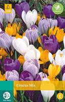 Krokus grootbloemig mix 10 bollen - thumbnail