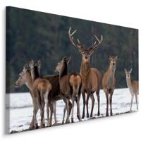 Schilderij - Het en Hinde in de Sneeuw, Premium Print, 5 maten - thumbnail