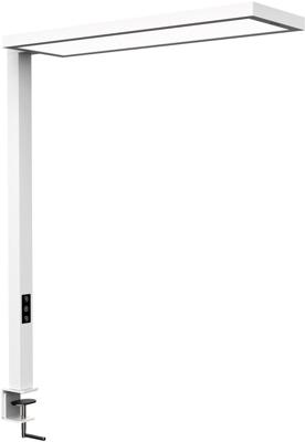 Maul 8258902 LED-opbouwlamp LED Lichtbron vervangbaar door elektricien 18 W Wit