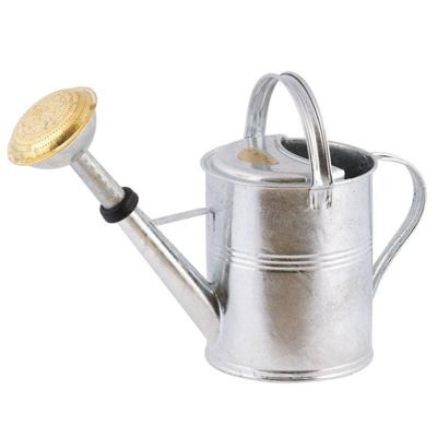 Zinken gieter 5 liter met broeskop Zinken gieter 5 liter met broeskop