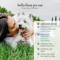 YUUP! CRISP COAT SHAMPOO - thumbnail