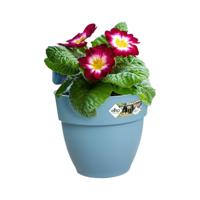 Elho Vibia Campana Small Hangpot blauw - thumbnail
