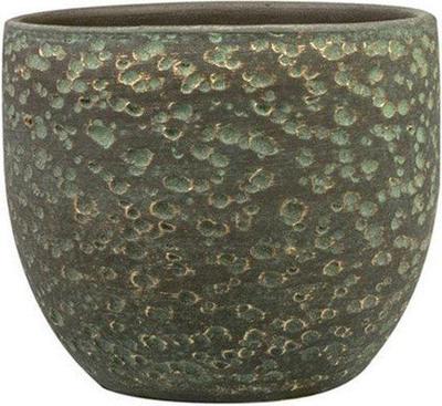 Pot Rinca shiny green D15 H13 Ter Steege - Ter steege