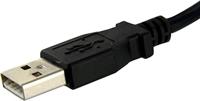 MANHATTAN ICOC U-AB-030-PNL Kabel USB 2.0 A Mannelijk naar A Vrouwelijk 3 m - thumbnail