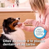 BEAPHAR TANDPASTA EN BORSTEL COMBI-PACK - thumbnail