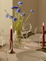 L.S.A. Luca Wijnglas 320 ml Set van 2 Stuks - thumbnail