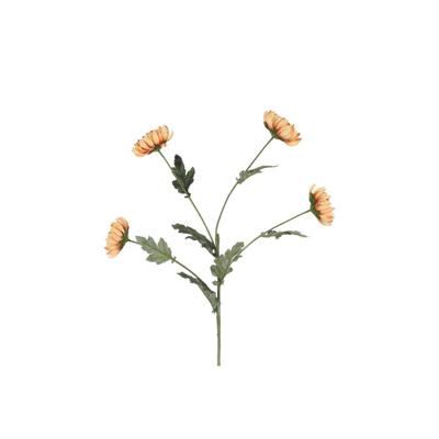Kunsttak Chrysanthemum beige 20xH83,8cm