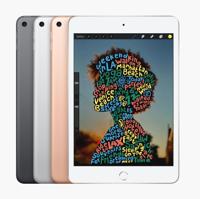 Refurbished iPad Mini 5 64 GB Goud Gebruikt - thumbnail