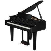 Roland GP-6 PE - thumbnail