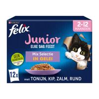 Pch edf jr mix gel 12p 85g Felix - Felix - thumbnail
