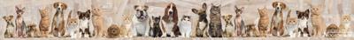 Noordwand Farmlife Jumbo rand katten en honden - 3750028
