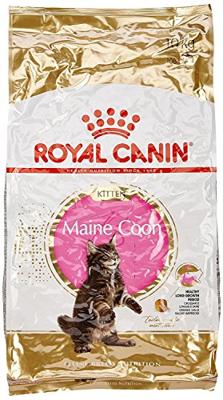 Royal Canin Kitten Maine Coon kattenvoer 10 kg