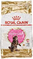 Royal Canin Kitten Maine Coon kattenvoer 2 x 10 kg - thumbnail