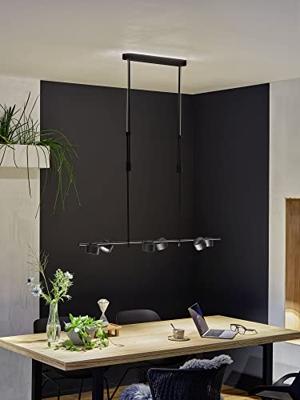 Paulmann Puric Pane I 79774 LED-hanglamp LED 48 W Zwart Paulmann Puric Pane I 79774 LED-hanglamp LED 48 W Zwart