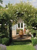 Boog kruik 50x70cm Tuinschilderij Customize-it - Customize it - thumbnail