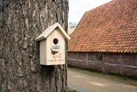 Nestkast winterkoning silhouet Best for Birds - Best for birds - thumbnail