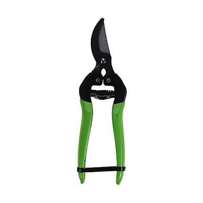 Snoeischaar Groen Assorti 1st